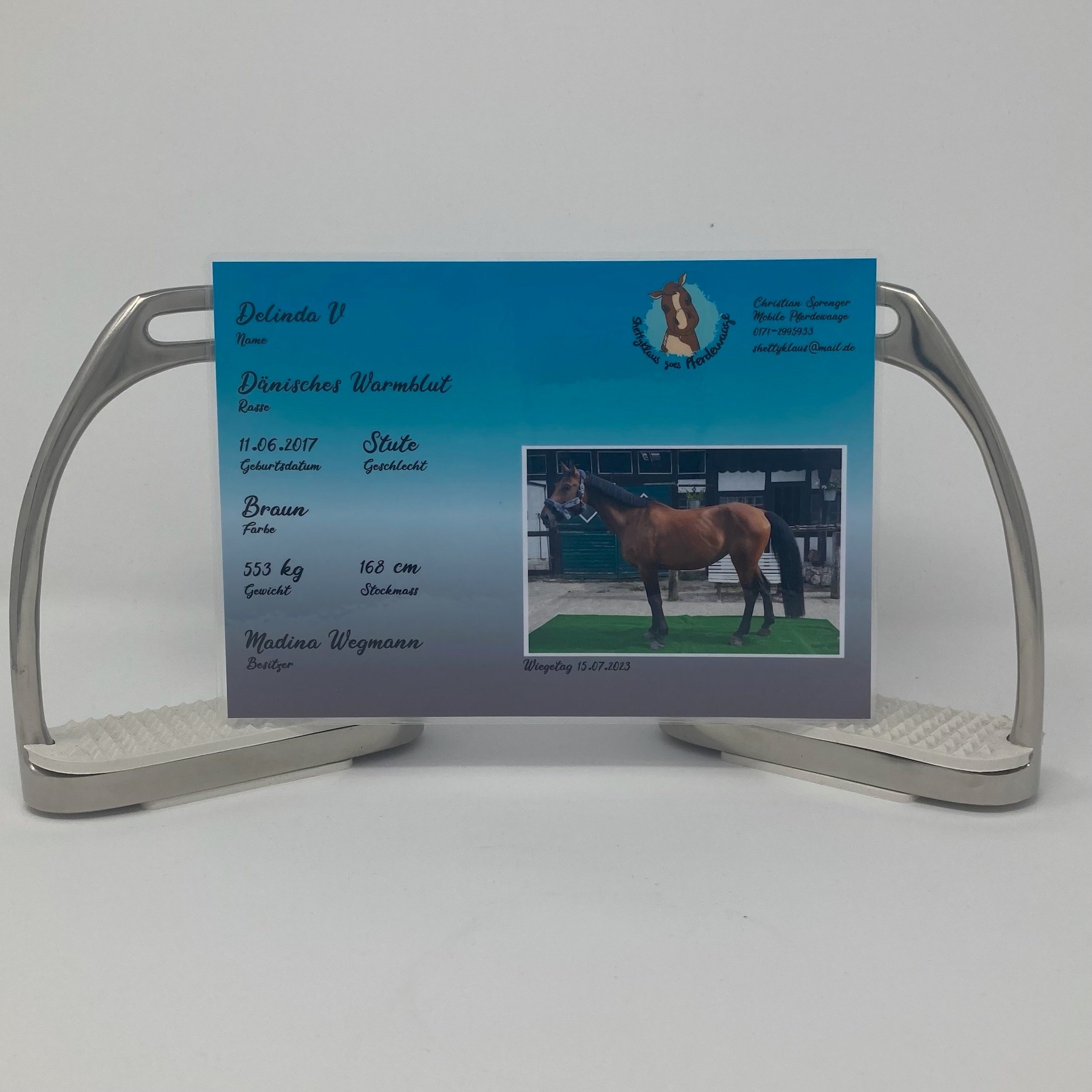 Galerie – Pferdewaage Einsatzbild 10