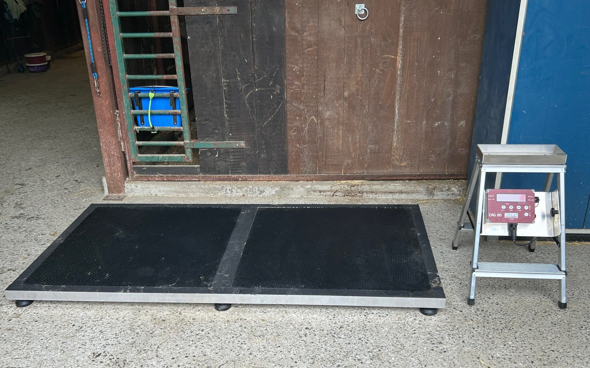 Galerie – Pferdewaage Einsatzbild 13