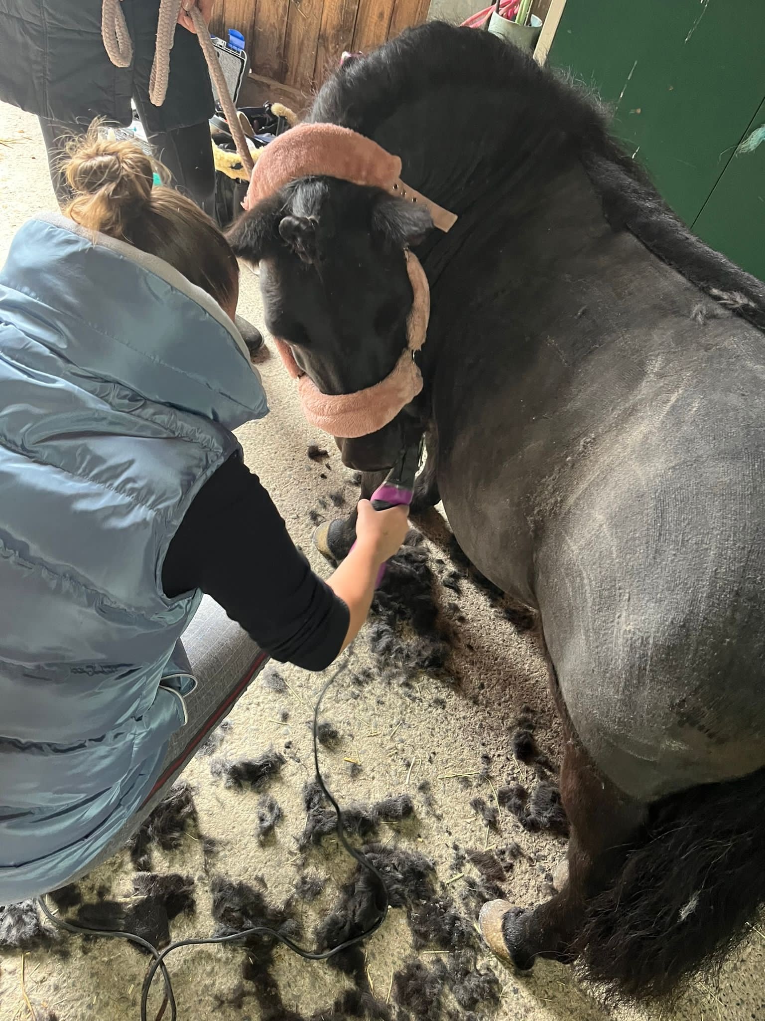 Galerie – Pferdewaage Einsatzbild 15